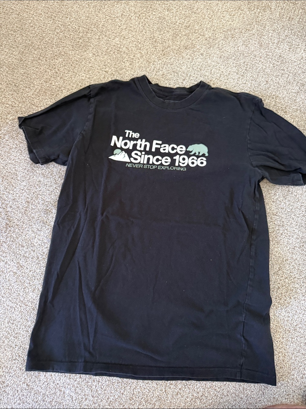 The North Face Black Tee with White and Light Green Logo